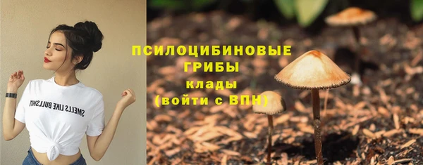 не бодяженный Инсар