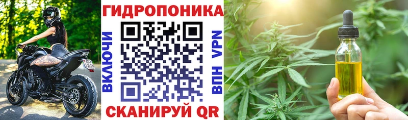 Бошки марихуана VHQ  Купить где  Медногорск 